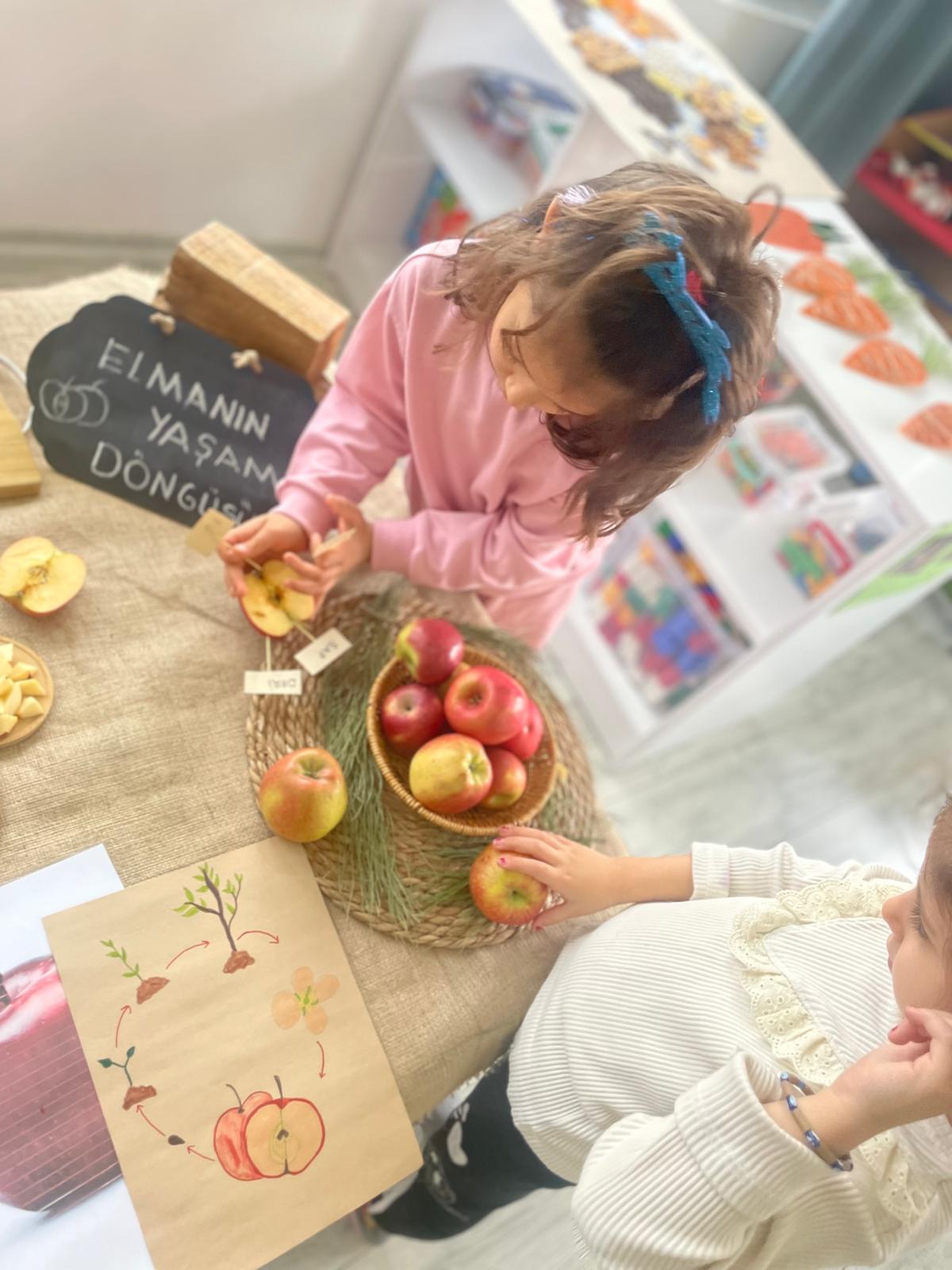 Dil ve Toplum Atölyesi