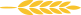 Atölyeler